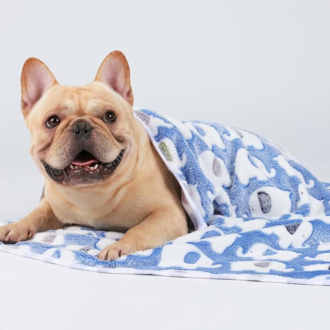 Luciphia 3 Pack Cute Dog Blankets Soft Fleece for Small Puppy Cat,41"x31" | Fuzzy Flannel Small Pet Blanket Washable, Cute Elephant Print for Crate Car Bed. Puppy Essential,Cat Stuff Gifts,Large