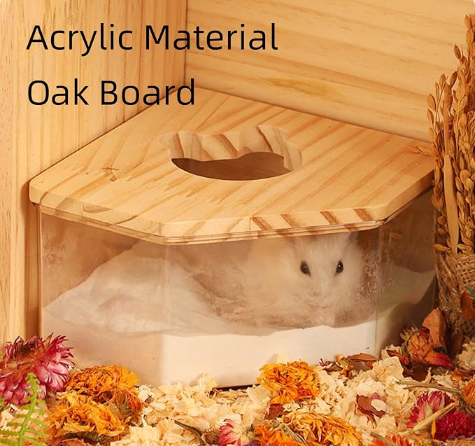 MANON ROSA Small Animal Sand Bath Box with Climbing Ladder - Geometric Shape Transparent Acrylic Shower Room Pet Digging Sand Container - Suitable for Hamsters Mice Lemmings Gerbils (Small,Polygon)