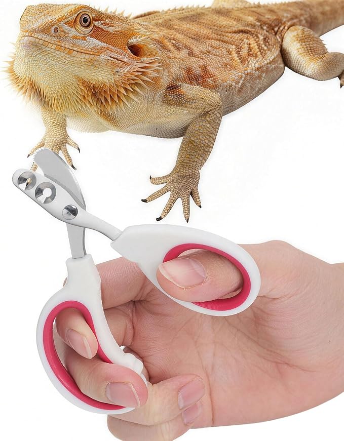 Stainless Steel Bearded Dragon Nail Clippers,Lizard Nail Clippers,Bearded Dragon Supplies,Bearded Dragon Nail Scissors for Small Reptiles,Turtle,Chameleon,Iguana，Hedgehog (Rose red)