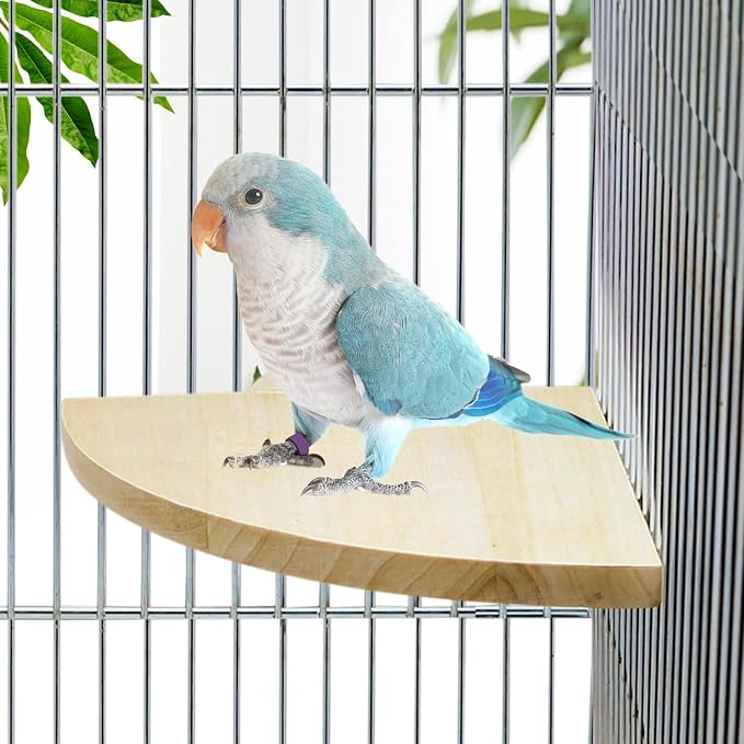 Litewoo Bird Parrot Corner Perch Flat Platform Stand for Cage (L) | 6.69x6.69 in, easy to Install, stable & smooth, solid wood perch for small-medium birds/parakeet/cockatiel/budgie/conure/cage