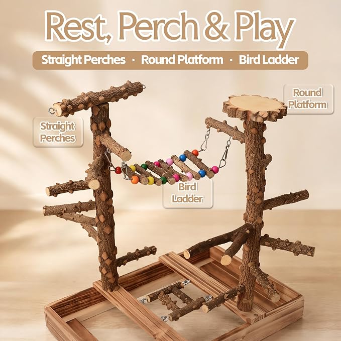 Bird Perch Stand, Multi-Layer Bird Playground, Parrot Cockatoo Parakeet Chew Toys