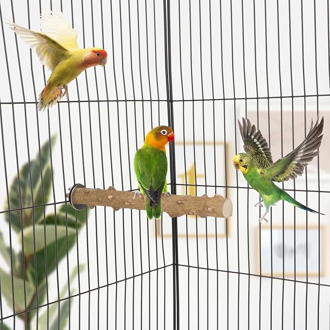 Hypeety Natural Prickly Ash Wood Perch Bird Paw Grinding Stand, 7.86''/20cm | Paw and beak grinding perch, bark texture for grip, chew-proof and durable, beak for budgie/parakeet/cockatiel/lovebird