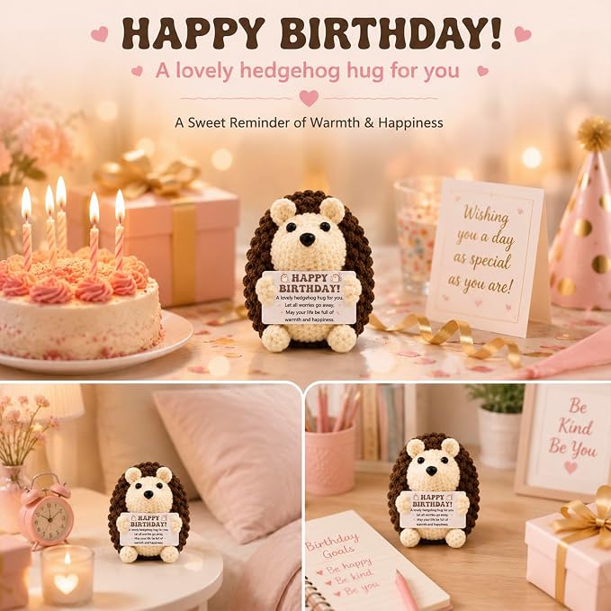 Funny Happy Birthday Gifts for Women Men,Handmade Crochet Hedgehog Gifts | Cute Inspirational Encouragement Cheer Up Birthday Gifts,Happy Birthday Gifts Idea Bday Decorations