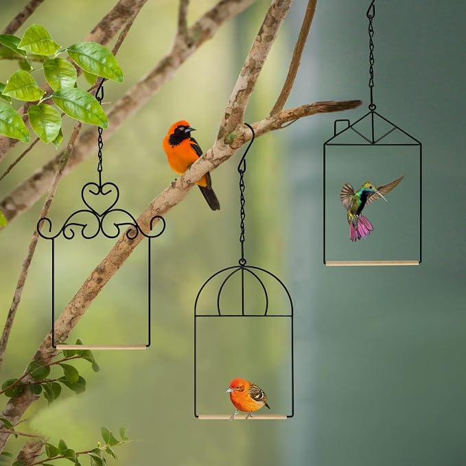 Metal Frame Hummingbird Swings and Perches with Wooden Dowel Black Bird Swing Outdoor Bird Perch Humming Bird Swing (3PK Different)