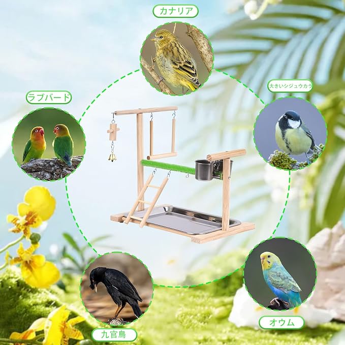 Bird Playground, Natural Wood Bird Perch Stand with Removable Tray and 2 Stainless Steel Feeder Cups, Parrot Playstand Bird Cage Toys for Conure Parakeet Cockatiel Parrot (C)