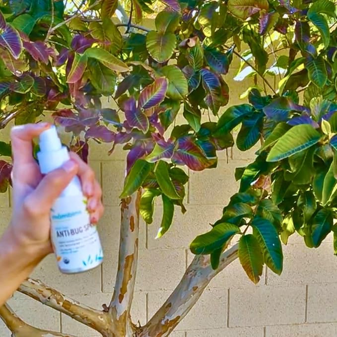 Mambino Organics Anti-Bug Spray, DEET-Free, Organic Mosquito Repellent with Essential Oils, Reef Safe, Face-Safe Protection for Babies, Kids, and Adults, Travel Bug Spray, 4oz