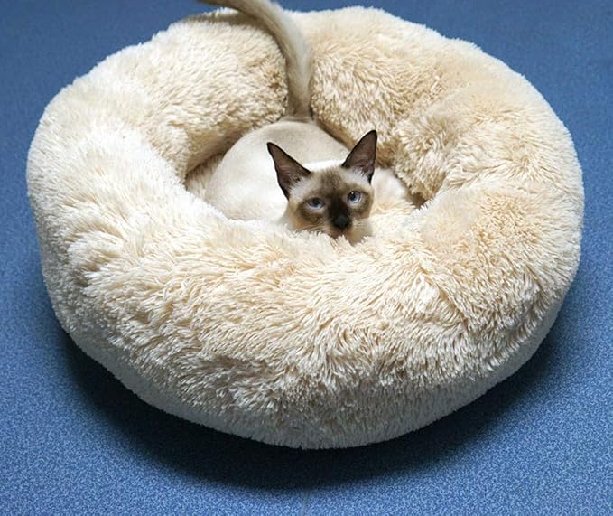 Cat Bed for Indoor Cats,Mini Plush Self Warming Kitten Bed, 20 Inch | Soft Round Fluffy Dog Bed and Cat Nest for Kittens and Small Dogs, Cozy Medium Bed for Indoor and Warm Autumn or Winter Sleep