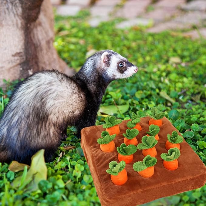 Ferret Foraging Toys Novelty Carrot Snuffle Mat Interactive Pet Treat Enrichment Toys for Small Animals Bunny Rabbit Chinchilla Guinea Pig Hamster (12Carrot)