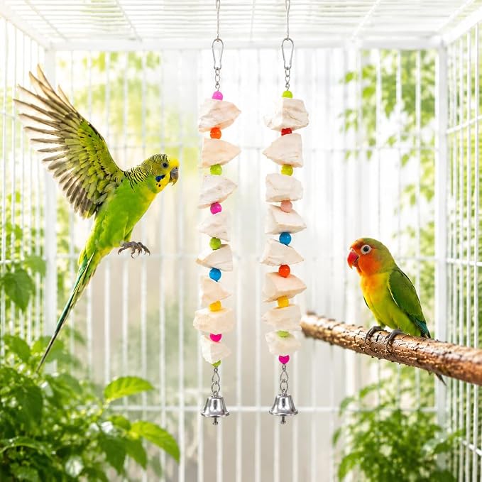 2 Pack Bird Toys with Cuttlebone & Beak Grinding Stone–Cage Accessories for Parakeets, Budgies, Cockatiels, Lovebirds, Green Cheeks & Small to Medium Birds