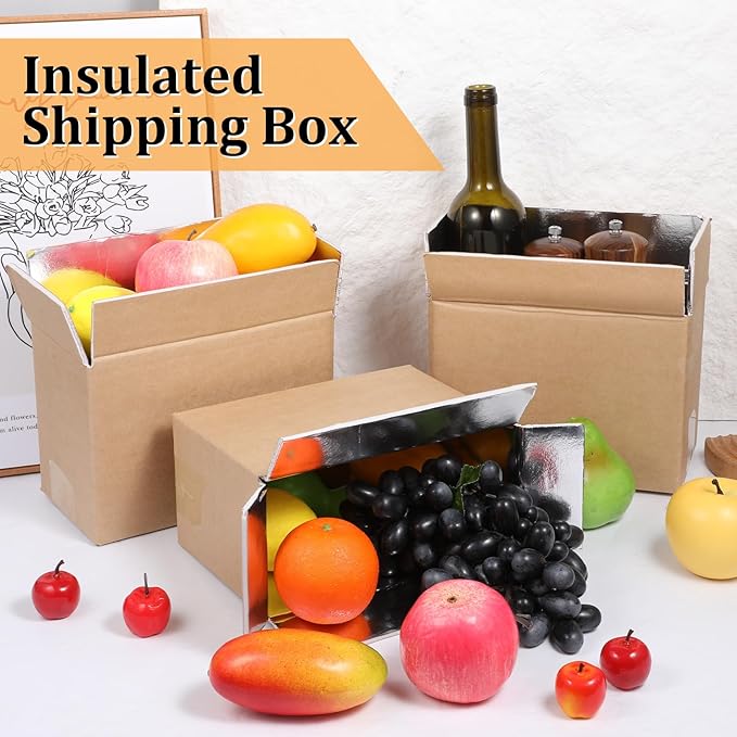 10 Pcs Insulated Shipping Boxes, 8.7" x 4.5" x 6.3" Cold Chill Double Insulated Carton with Aluminum Foil Liner for Frozen and Hot Food Reusable Foam Mailing Box for Travel Mailing Packing