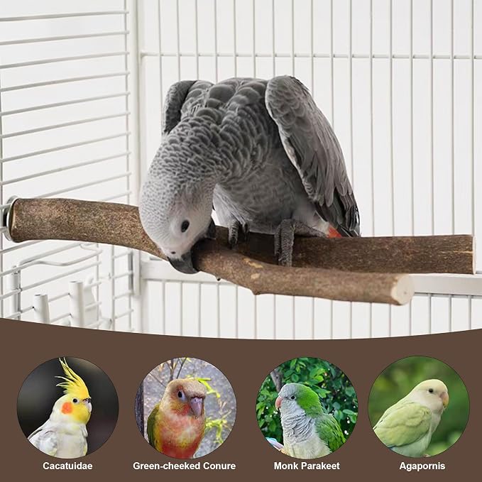 8 PCS Bird Perch Set | Natural Birch Wood, Straight & Forked Perches with Platforms, For Parakeets, Cockatiels, Conures, Lovebirds, Cage Accessories