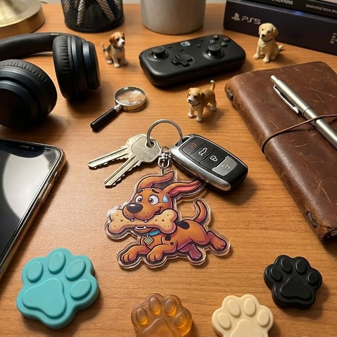 PumpCar Acrylic Keychain Double-Sided Charm Key Ring with Metal Clip Backpack Charm Bag and Car Key Accessory Collectible