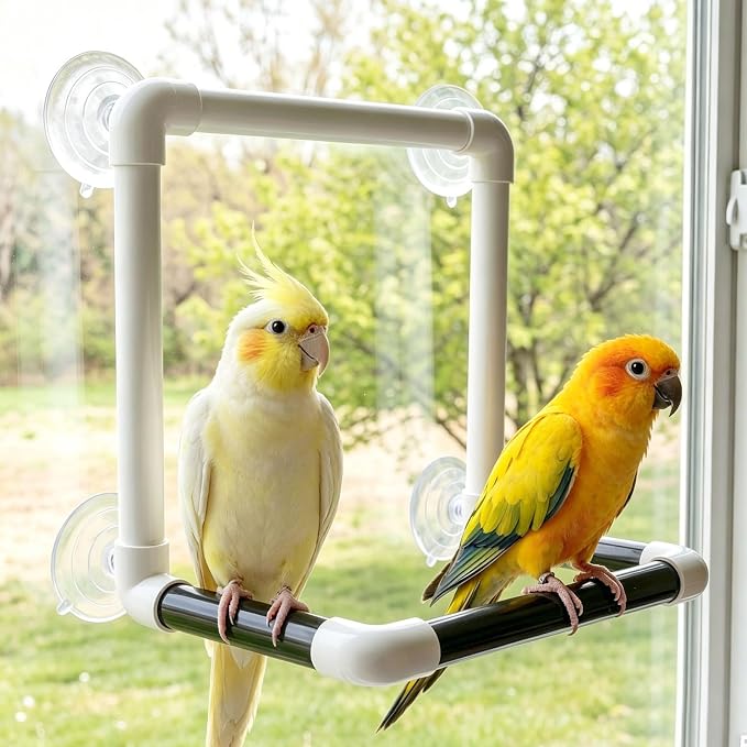 Hypeety Portable Suction Cup Bird Window and Shower Perch Toy Parrot Stand | 4 strong suction cups, parrot bath perch, easy to install, fits windows/shower tile, for cockatoo/african greys/macaws, grey