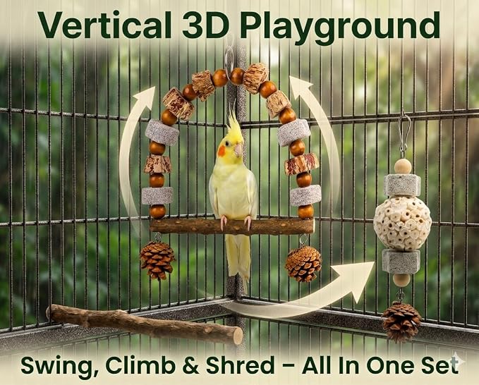 2 Pack Natural Bird Toys Set - Arch Wood Swing & Sola Ball Shreddable Toy - Foraging Hanging Perch with Pine Cones & Pumice Stone Beak Trimmer, Cage Accessories for Cockatiel, Conure, Parakeets