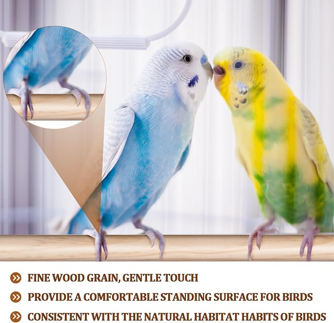 Sintuff 8 Pcs Bird Perches for Cage Accessories, Wooden Perch Rods Replacement with Double Head Slots, 0.6 Inch Diameter Natural Wood Stand for Parrot Macaw Cockatoo Parakeet (24 Inches)