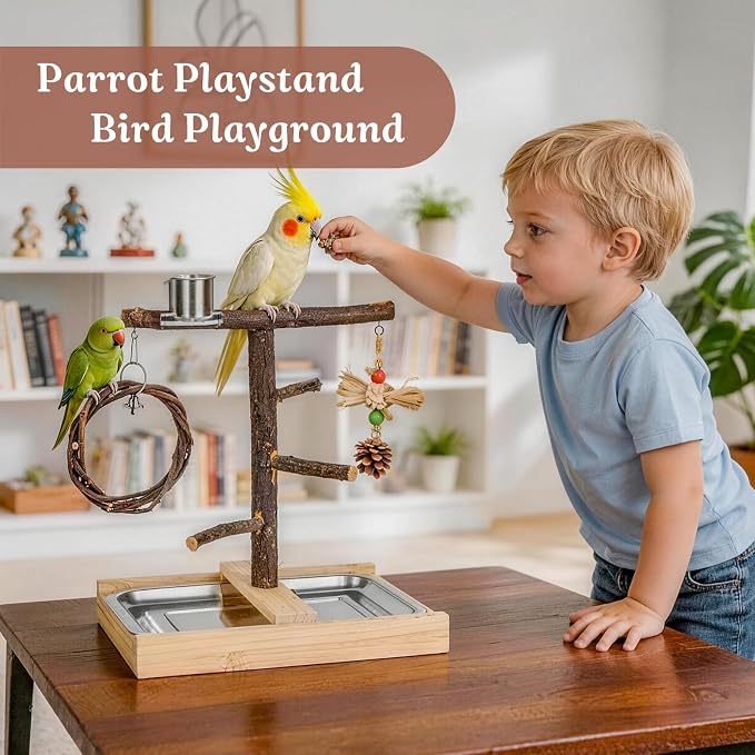 Bird Playground Natural Wooden Parrot Play Stand | Apple Branch Swing, Chew Toys, Feeding Cups, Suitable for Small and Medium Birds Like Parakeets, Budgerigars, Cockatiels