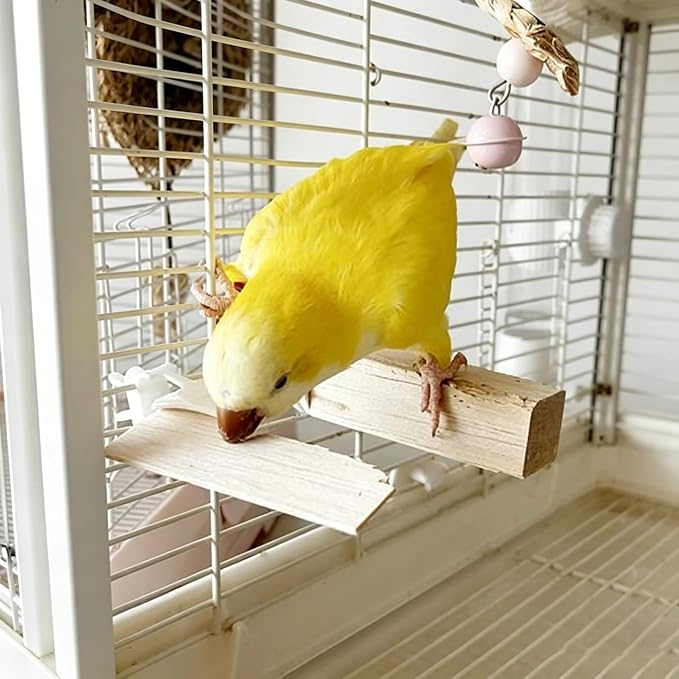 Large Untreated Balsa Wood Bird Chew Toys 6 Pack with Mount Clip, Multi Size Thick Wood Slice Perch Foraging Toy for Parakeets Conures Cockatiels Lovebirds Small Medium Parrots