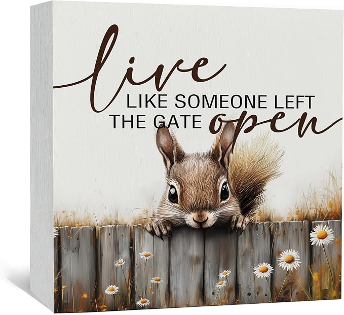 Squirrel Sign - Squirrel Gifts For Women, Live Like Someone Left The Gate Open Wooden Box Signs, Farmhouse Wood Decoration Home Decor For Desk Table Shelf 5x5 Inch