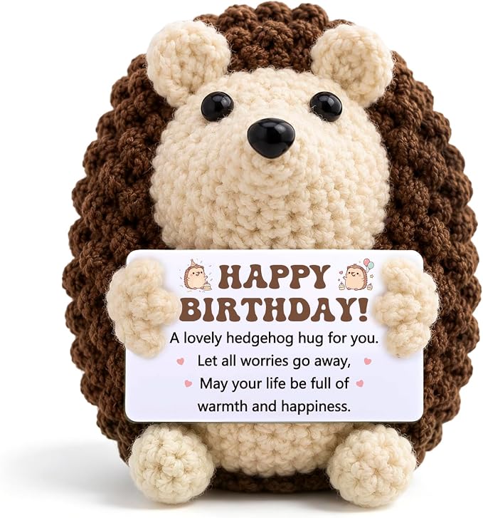 Funny Happy Birthday Gifts for Women Men,Handmade Crochet Hedgehog Gifts | Cute Inspirational Encouragement Cheer Up Birthday Gifts,Happy Birthday Gifts Idea Bday Decorations