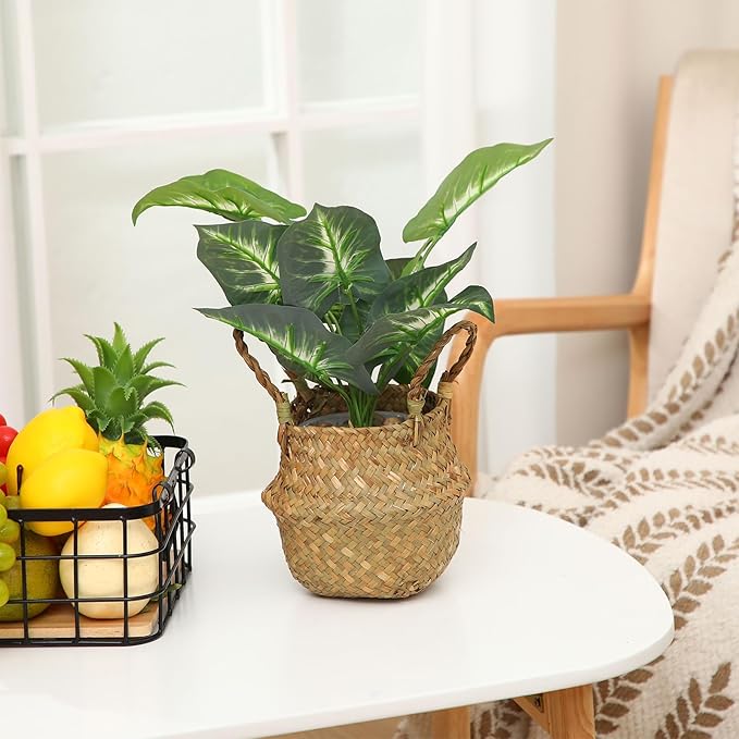 Qunclay 8 Pcs Woven Seagrass Baskets Belly Basket Folding Boho Natural Plant Pot with Handles Round Decorative Wicker Large Indoor Planter for Home Outdoor Tree Planters Decor (6.3 x 5.9 Inch)