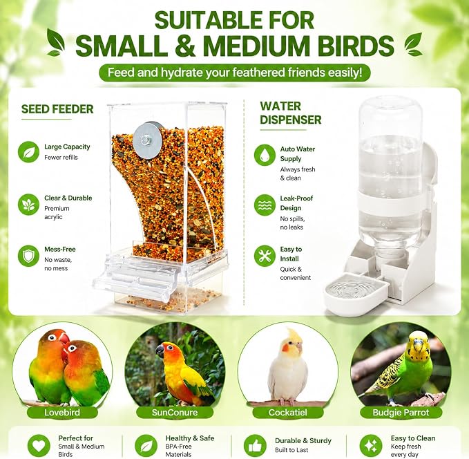 Rypet No-Mess Bird Feeder and Water Dispenser Set for Small Birds | Automatic Bird Feeder, Transparent Acrylic Food Container, Helps Reduce Seed Scatter, for Parakeet Cockatiel Parrot Canary