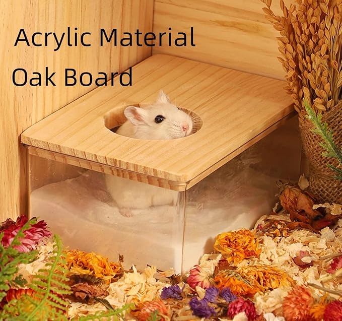 Small Animal Sand Bath Box with Climbing Ladder - Geometric Shape Transparent Acrylic Shower Room Pet Digging Sand Container - Suitable for Hamsters Mice Lemmings Gerbils (Medium,Rectangle)