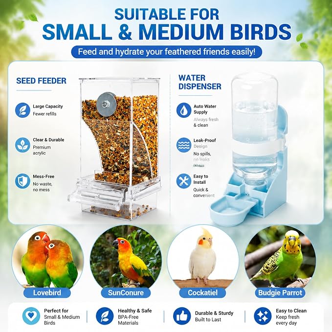 Rypet No-Mess Bird Feeder and Water Dispenser Set for Small Birds | Automatic Bird Feeder, Transparent Acrylic Food Container, Helps Reduce Seed Scatter, for Parakeet Cockatiel Parrot Canary