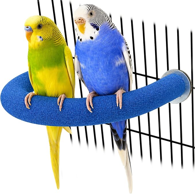 Rypet U-Shaped Parrot Perch, Quartz Bird Perch for Cage(Blue S) | Safe Chew & Rest Perch for Large Birds, Durable Non-Toxic Cage Accessory, for Parakeets Cockatiels Conures Macaws