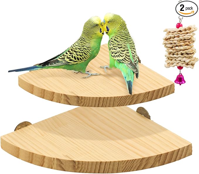 2 Pack Bird Perch Platform, Parrot Stand Sector Playground Wood Perch Stand Toy Cage Accessories Exercise Toy for Parakeet Conure Cockatiel Budgie Gerbil Rat Mouse Chinchilla Hamster