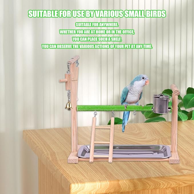 Bird Playground, Natural Wood Bird Perch Stand with Removable Tray and 2 Stainless Steel Feeder Cups, Parrot Playstand Bird Cage Toys for Conure Parakeet Cockatiel Parrot (C)