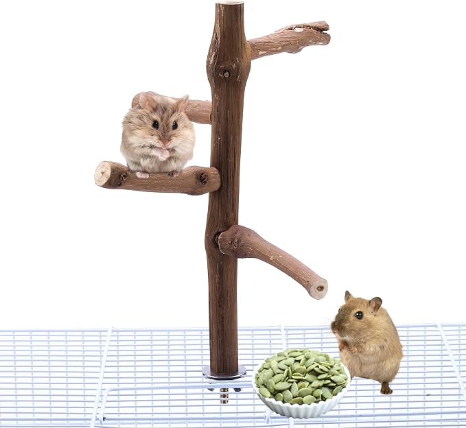 Bird Perch Stand Toy Grapevine Wood Bird Cage Branch Perch 10 Inch | Natural Grapevine Wood Perch Stand 4 Branches Bird Cage Inside Accessories Bird Toy for Parakeet Cockatiel Conure Finches