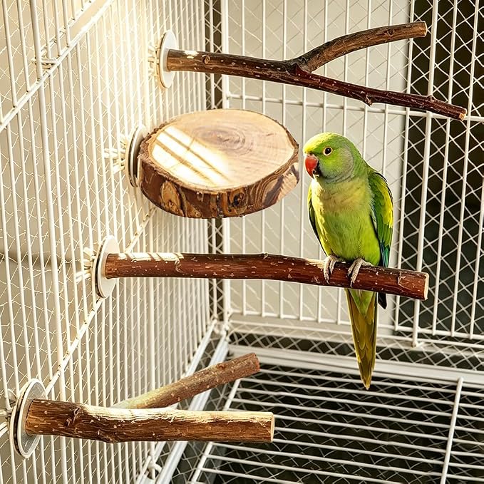 Bird Perch Swing for Cage Accessories - Natural Wood Parrot Perch for Parakeet Budgie Cockatiel Toys