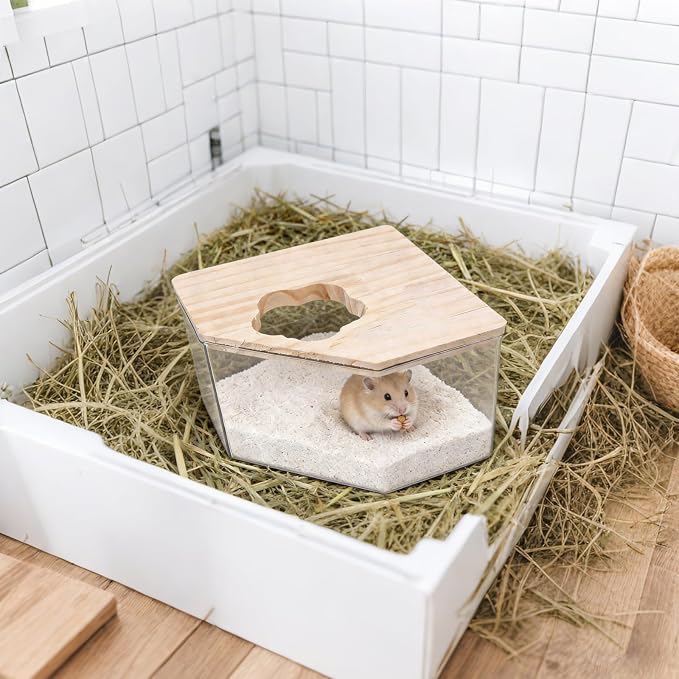 Hamster Sand Bath Box–Transparent Syrian Hamster Shower Bathtub with Comb for Small Pets, Acrylic Micro Sand Bath Box with Lid, Ideal Hamster Dig Box - Pentagon