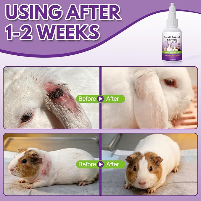 Topical Solution for Rabbits, Guinea Pigs & Exotics, Relieves Ear & Skin Infections, Scratching & Wounds, for Hamsters, Ferrets & Birds, Antibiotic-Free & Safe if Licked, 4 oz