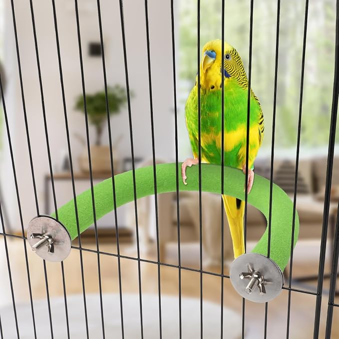 Rypet U-Shaped Parrot Perch, Quartz Bird Perch for Cage(Green S) | Safe Chew & Rest Perch for Large Birds, Durable Non-Toxic Cage Accessory, for Parakeets Cockatiels Conures Macaws