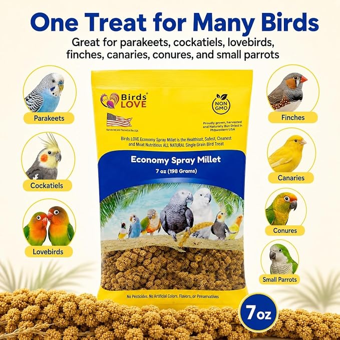 Birds LOVE® Economy Spray Millet for Birds, 7 oz, GMO-Free Natural Millet Spray Treat, Stem-Reduced Edible Tops, Grown in USA, for Parakeets, Cockatiels, Lovebirds, Finches, Canaries -Pack of 2