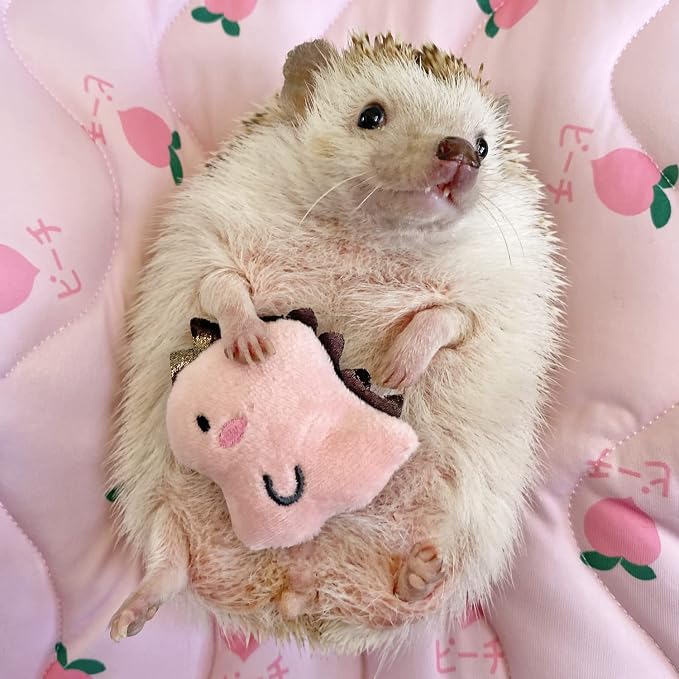 3 Pcs Cute Small Animal Accessories Toys Dinosaur for Hedgehog Supplies Guinea Pig Hamsters Small Pet Toy Gift Photo Shoot Cage Accessory