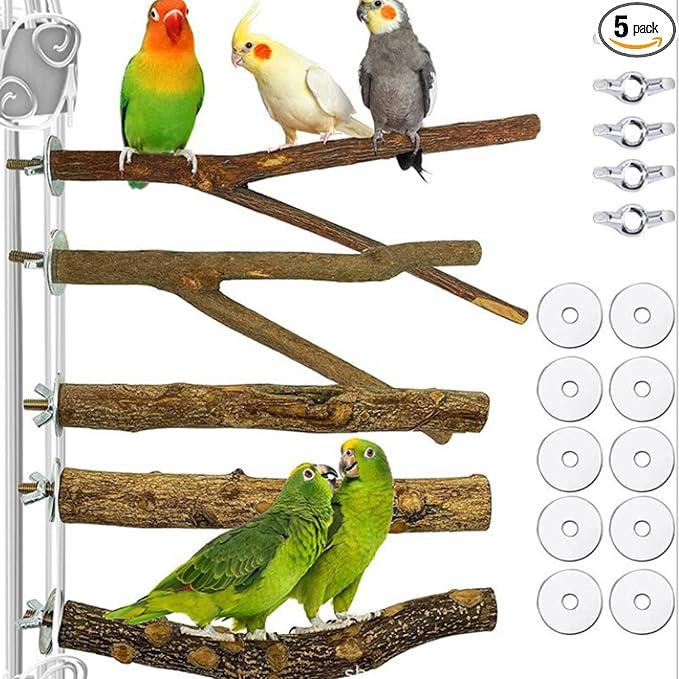Natural Wood Bird Perch Set, 5 Branch Perches with Mounting Hardware, Parrot Cage Accessories for Claw and Beak Care (Natural, Medium)
