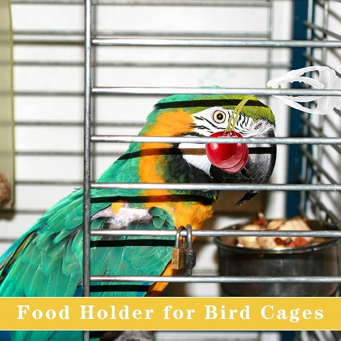 6 Pieces Bird Cage Food Holder Parrot Fruit Vegetable Clips Bird Cage Feeder Clip for Budgie Parakeet Cockatoo Macaw Cockatiel Conure | Clip On Cage Bars, Holds Fruit Veggie Greens, Fits Budgie Cockatoo Macaw Conure, Spring Grip Feeder, 6 Pack