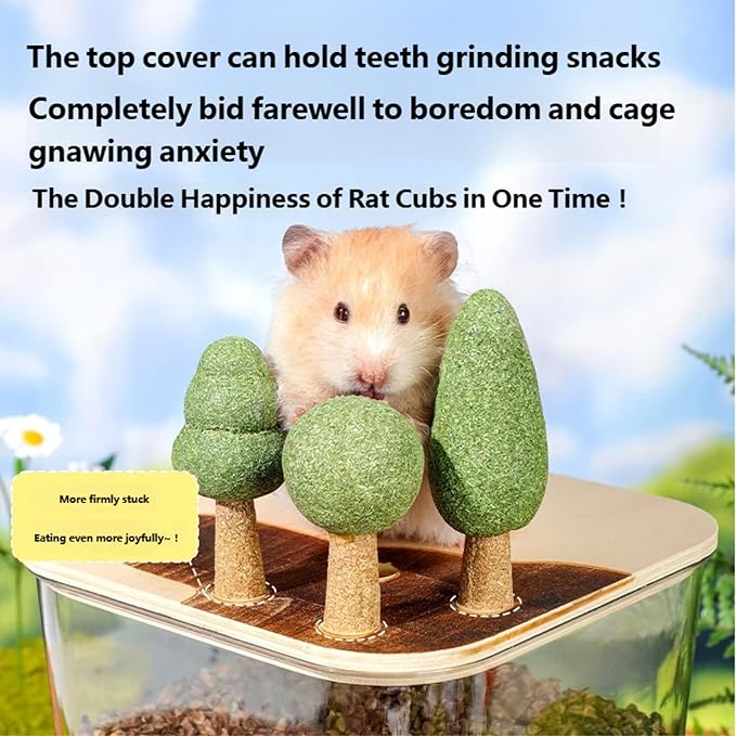 Natural Behavior Simulators Sand Bath Box for Hamsters with Depth Digging Space and Visible Side for Observation Hamster House