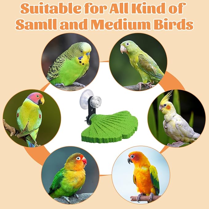 3PCS Bird Perch Bird Beak Grinding Stone with Suction Cups for Small Birds Foot Claws Trimmer Bird Stand Platform Parakeet Cage Perch Parrot Cage Accessories for Indoor Window Viewing (Green)