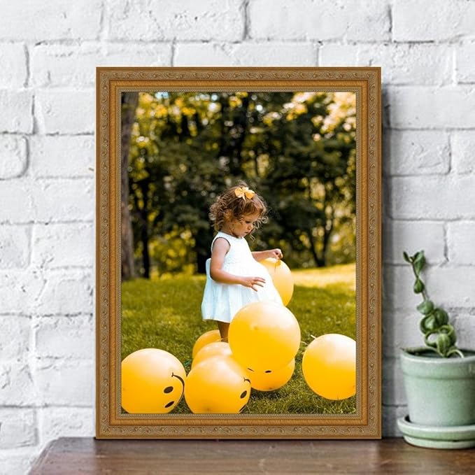 M Modern Memory Design 15x46 Gold Picture Frame Ornate - Wall Mount Acrylic Glass 15x46 Frame