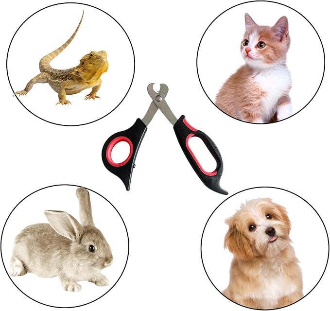 2-Pack Professional Reptile Nail Clippers&Stainless Steel Reptile Feeding Tongs Suitable for Small Animals Such as Cats, Birds, Hamsters, Rabbits, Hedgehogs, Ferrets, Chinchillas, Guinea Pigs，Etc