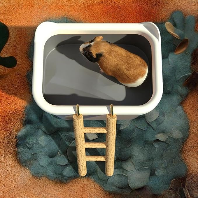 Hamster Litter Box Large Removable Enrichment | Dwarf Hamster Dig Box Bathing Bowl for Mouse Gerbil Chinchilla Home Travel Enrichment Bathing Play