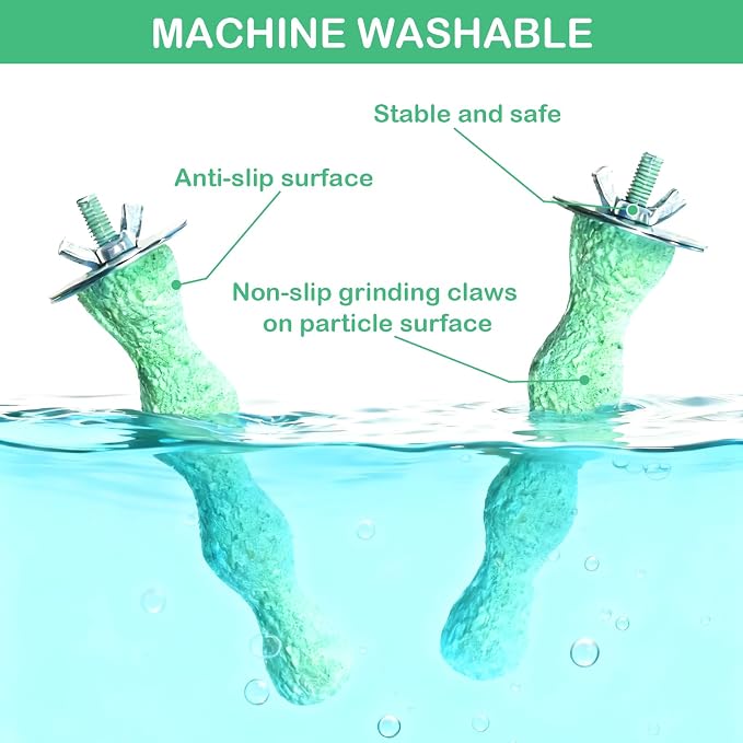 Bird Beak Grinding Stone & Nail Trimmer for Parrots, Anti-Slip Claw Grinder | Resin Beak Grinder & Washable Claw Trimmer for Budgie, Conures, Parakeets, Cage Accessory with Perch Stand (2, Green, 5 inch)