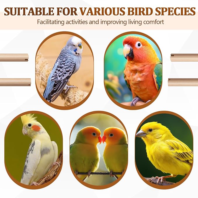 Sintuff 8 Pcs Bird Perches for Cage Accessories, Wooden Perch Rods Replacement with Double Head Slots, 0.6 Inch Diameter Natural Wood Stand for Parrot Macaw Cockatoo Parakeet (15 Inches)
