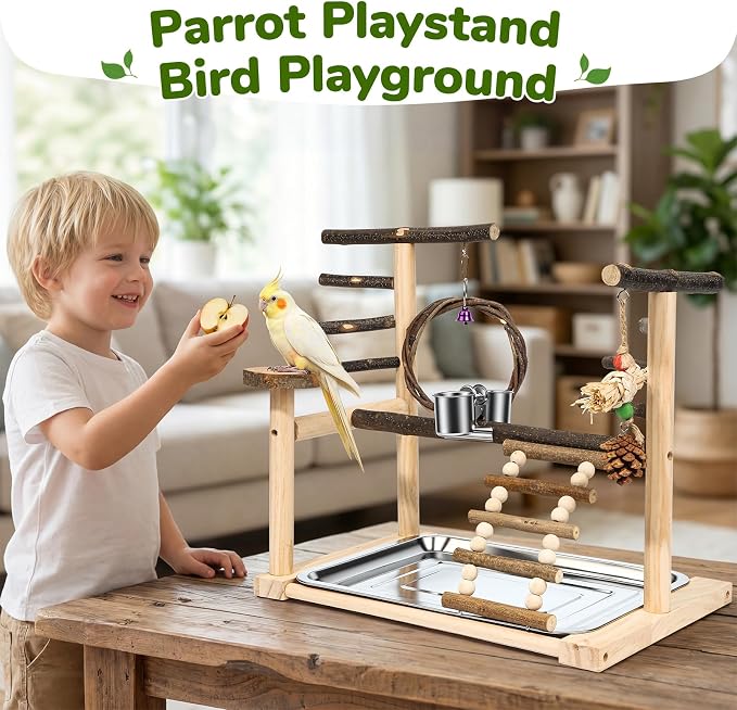 Bird Playground Wooden Parrot Stand for Small to Medium Birds | Feeding Cup, Apple Branch Swing, Chew Toys, Removable Tray, Ideal for Budgerigars, Parakeets, Cockatiels