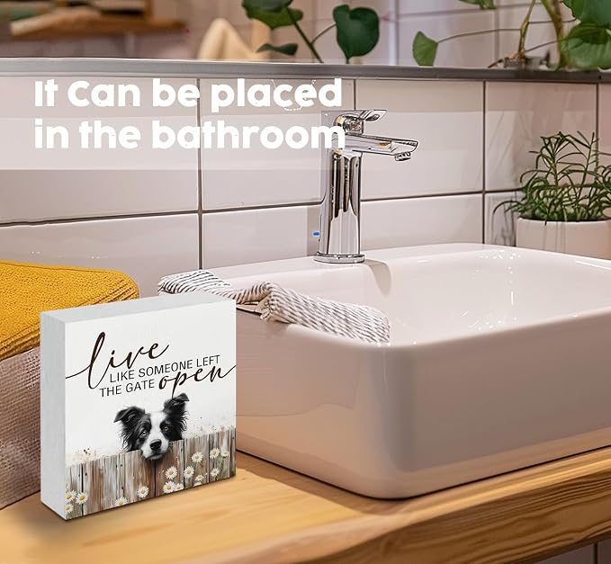 Live like Someone Left the Gate Open Border Collie Wooden Signs,Farm Cottagecore Animal Office Kitchen Bedroom Decor,Rustic Farmhouse Home Decor Signs,Border Collie Gifts for Women