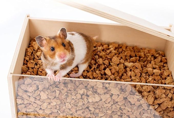 Hamster Digging Box DIY Hamster Cage Decor Burrow Box Toy with Acrylic Window for Activity Suitable for Hamster Enclosure and, M
