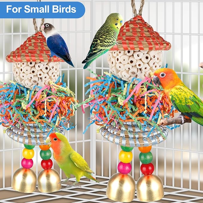 BBjinronjy 2PCS Bird Toys Parrot Foraging Shredder Hanging Toys Sola Balls with Bell for Small Parrots Parakeets Cockatiel Conures Love Birds Budgie Cage Toy